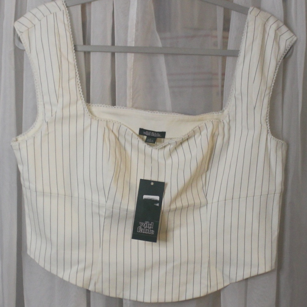 NWT Wild Fable striped cropped top